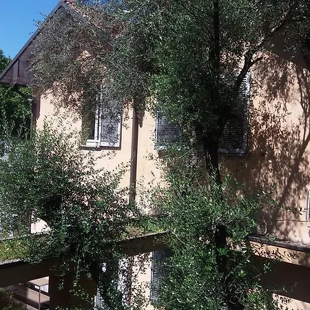 Caesar House *